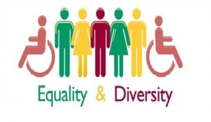 Equality and diversity instructor course